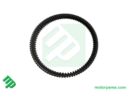 cinghia aodes 21040303802 (2).jpg